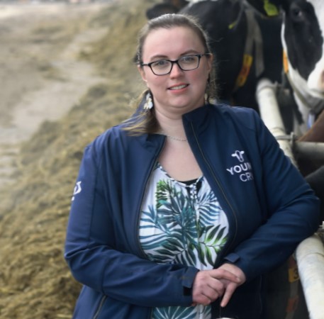 Tineke Vermeulen-Rehorst koeien